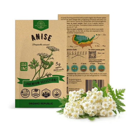 buy indoor plant seeds online Anise Seeds Pack