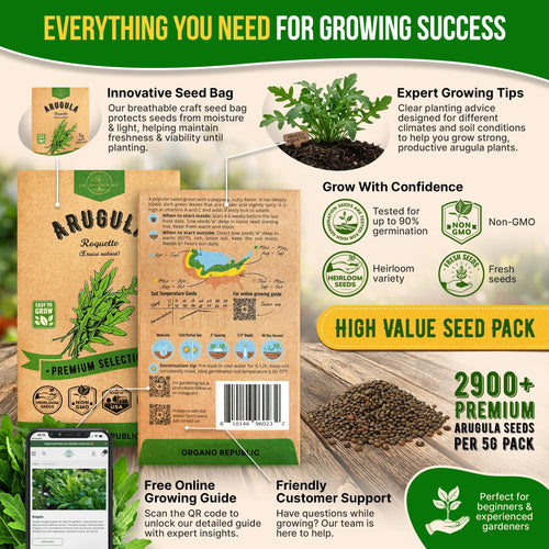 Arugula Roquette Seeds Pack 5G
