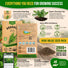 Arugula Roquette Seeds Pack 5G