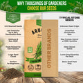 Arugula Roquette Seeds Pack 5G