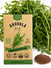 Arugula Roquette Seeds