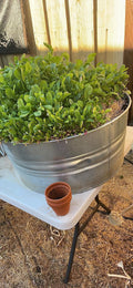 Review image 1