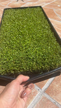 Review image 1