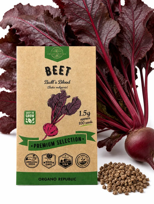 Beet Bull's Blood Seeds