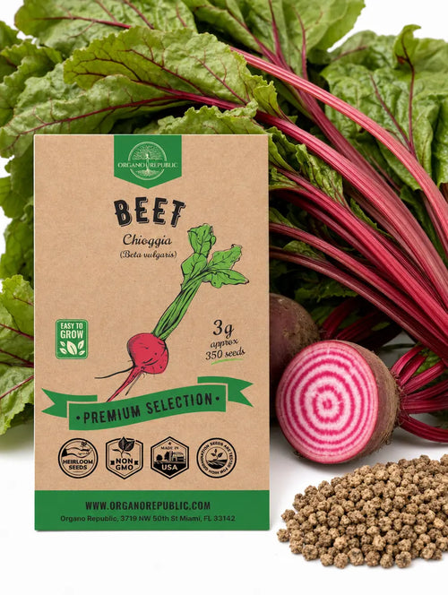 Beet Chioggia Seeds