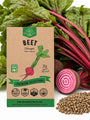 Beet Chioggia Seeds - Organo Republic