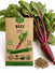 Beet Cylindra Seeds