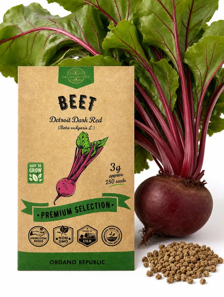 Beet Detroit Dark Red Seeds