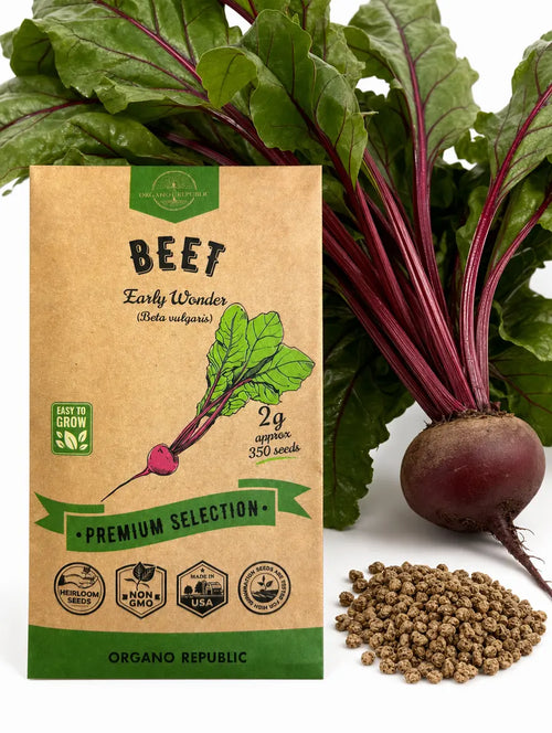 Beet Early Wonder Seeds