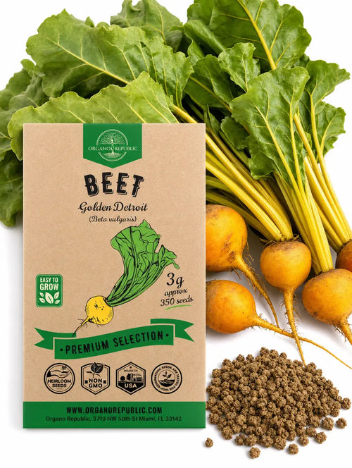 Beet Golden Detroit Seeds