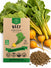 Beet Golden Detroit Seeds - Organo Republic