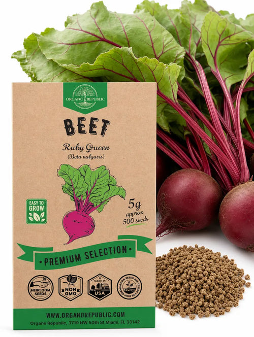 Beet Ruby Queen Seeds