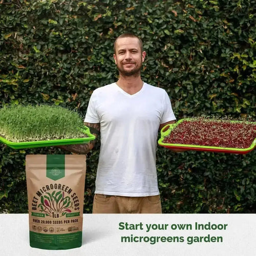 Beet Sprouting & Microgreens Seeds - Non - GMO, Heirloom Sprout Seeds Kit in Bulk 1lb Resealable Bag for Planting & Growing Microgreens in Soil, Coconut Coir, Garden, Aerogarden & Hydroponic System. - Organo Republic