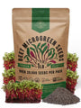 Beet Sprouting & Microgreens Seeds - Non-GMO, Heirloom Sprout Seeds Kit in Bulk 1lb Resealable Bag for Planting & Growing Microgreens in Soil, Coconut Coir, Garden, Aerogarden & Hydroponic System. - Organo Republic