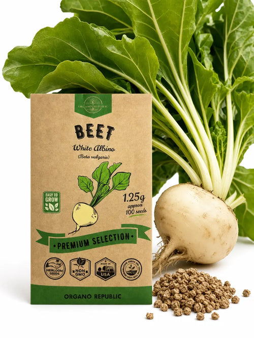Beet White Albino Seeds