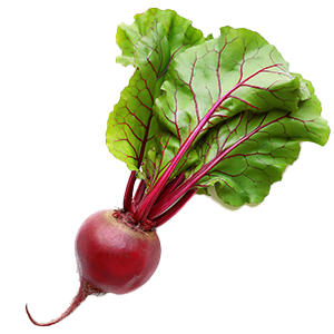 Beet Crosby's - 1.5G