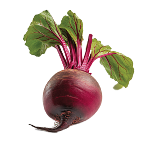 Beet Detroit Dark Red - 3G