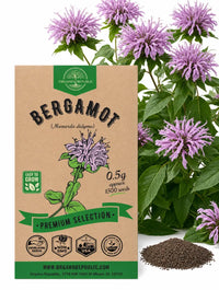 Bergamot Seeds