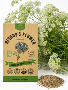 Ammi Majus Seeds (Bishops Flower) – Non-GMO Heirloom