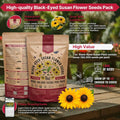 Black-Eyed Susan Seeds Organo Republic