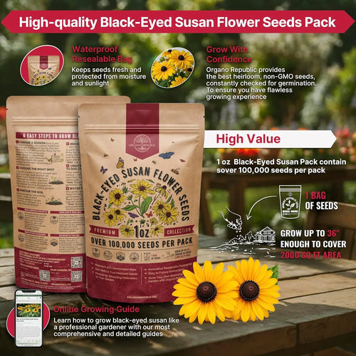 Black-Eyed Susan Seeds Organo Republic