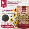 Black-Eyed Susan Seeds Organo Republic
