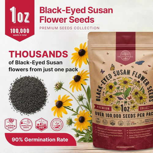 Black-Eyed Susan Seeds Organo Republic