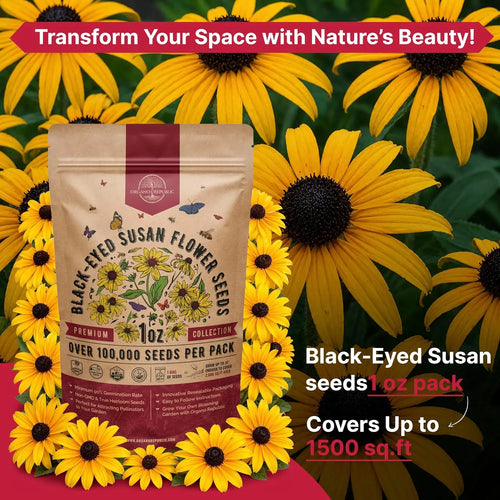 Black-Eyed Susan Seeds Organo Republic