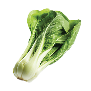 Bok Choy Pak Choi Canton White Stem - 3G