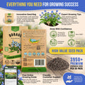 Borage Seeds Pack 1.50G