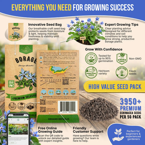 Borage Seeds Pack 1.50G