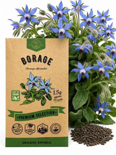 Borage Seeds