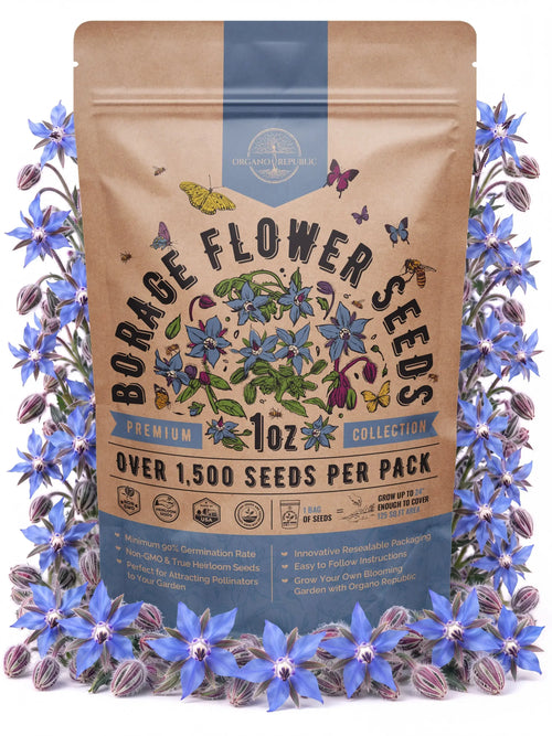 Borage Seeds – Non-GMO Heirloom