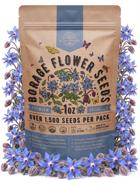 Borage Seeds Organo Republic