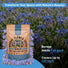Borage Seeds Organo Republic