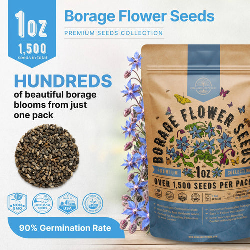 Borage Seeds Organo Republic