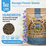 Borage Seeds Organo Republic