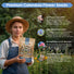 Borage Seeds Organo Republic