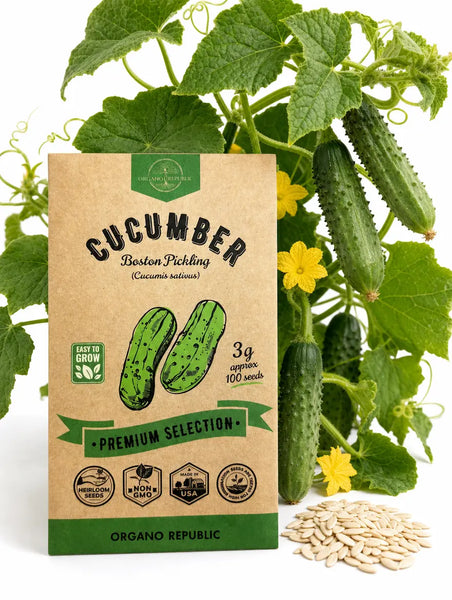 Boston Pickling Cucumber Seeds