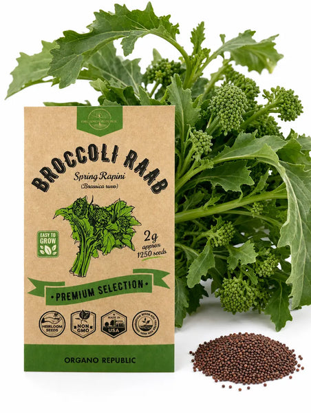 Broccoli Raab Spring Rapini Seeds