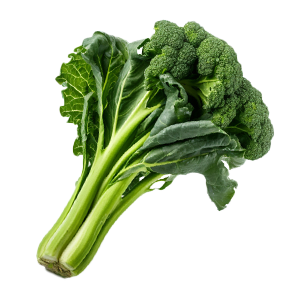 Broccoli Raab Spring Rapini - 2G – Organo Republic