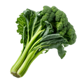 Broccoli Raab Spring Rapini - 2G – Organo Republic