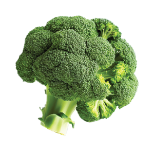 Broccoli Waltham 29 - 3G