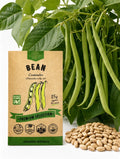 Bush Bean Contender Seeds