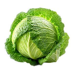 Cabbage Golden Acre - 2.5G