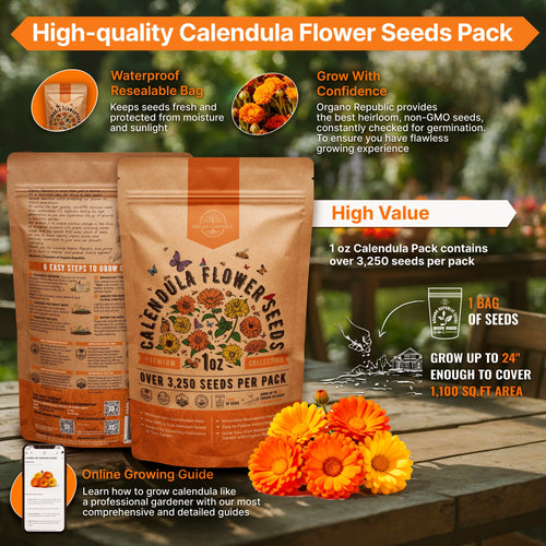 Calendula Seeds Organo Republic