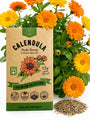 Calendula Seeds Organo Republic