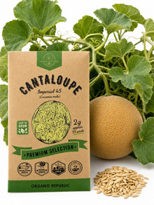 Imperial 45 Cantaloupe Seeds – Non-GMO
