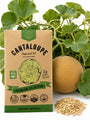Cantaloupe Imperial 45 Seeds