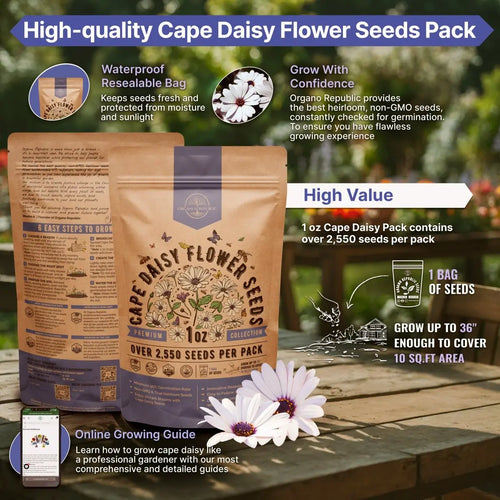 Cape Daisy Flower Seeds Pack 1 oz - Over 2,550 Non - GMO Heirloom Cape Daisy Seeds for Planting, Perennial Flowers in Individual Seed Packet, Seeds for Planting Home Garden Indoor & Outdoor Gardening - Organo Republic